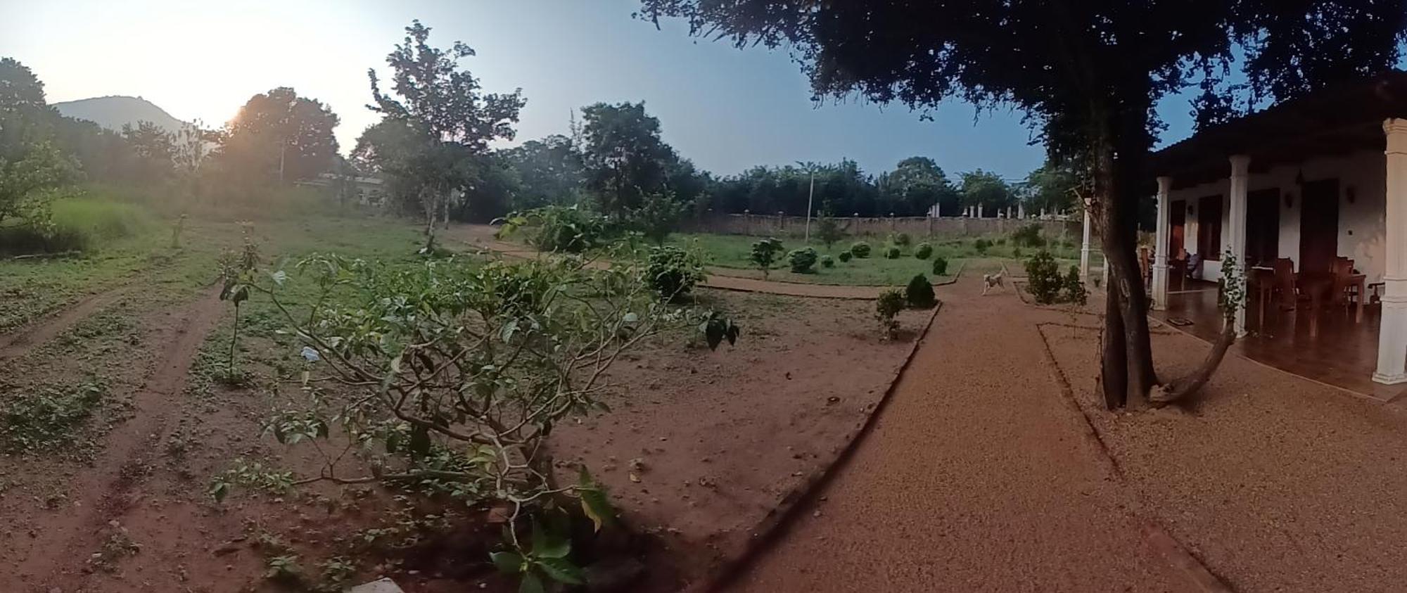 Sigiri Arana Sigiriya Hotel Eksteriør billede
