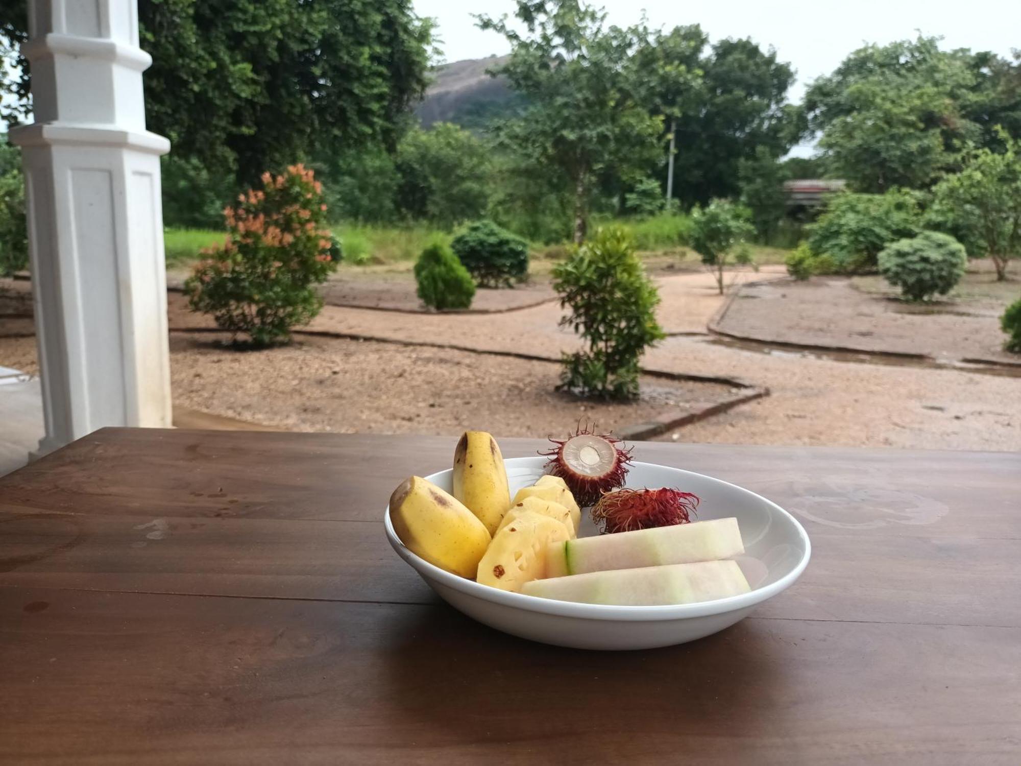 Sigiri Arana Sigiriya Hotel Eksteriør billede