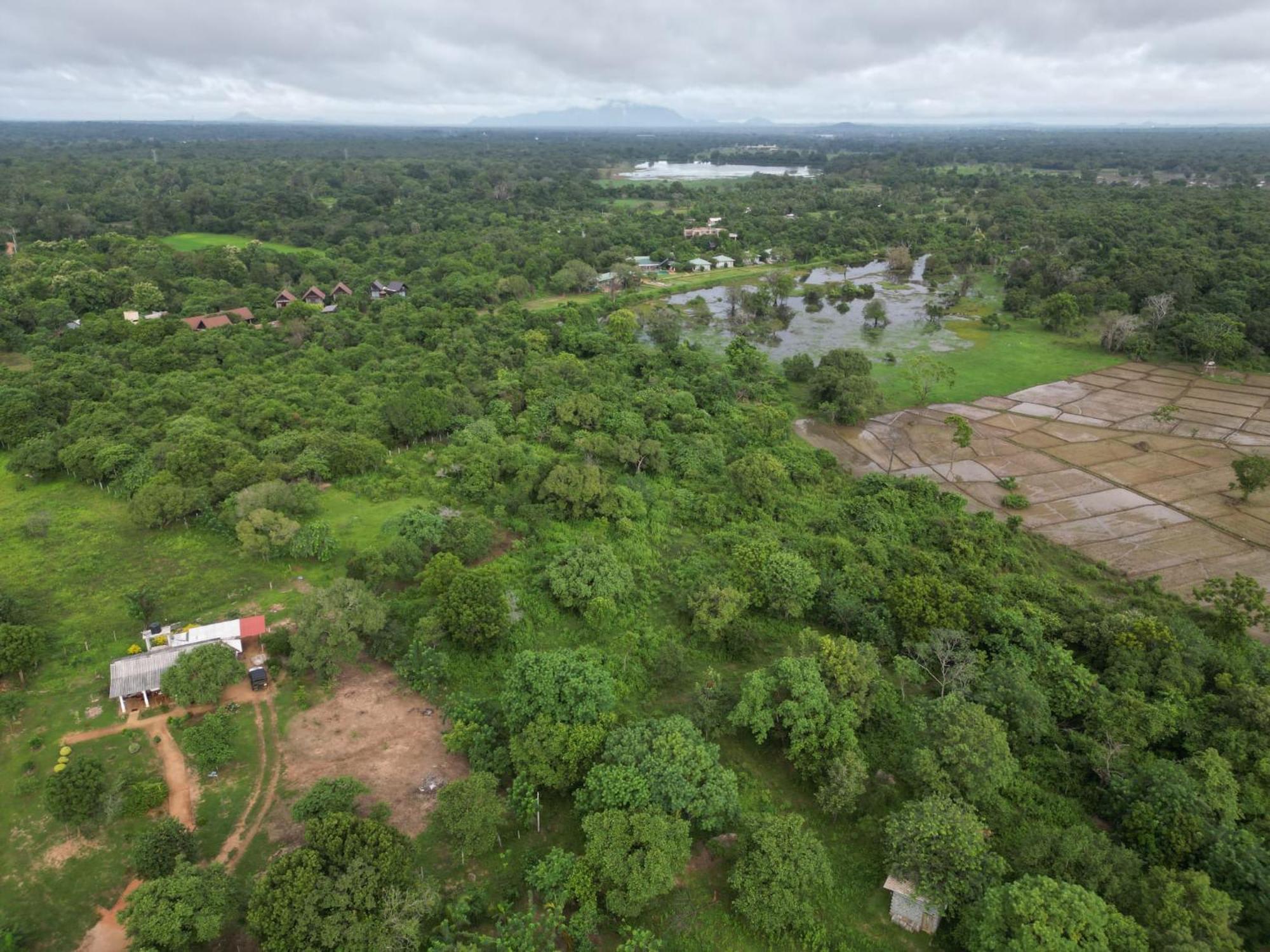 Sigiri Arana Sigiriya Hotel Eksteriør billede