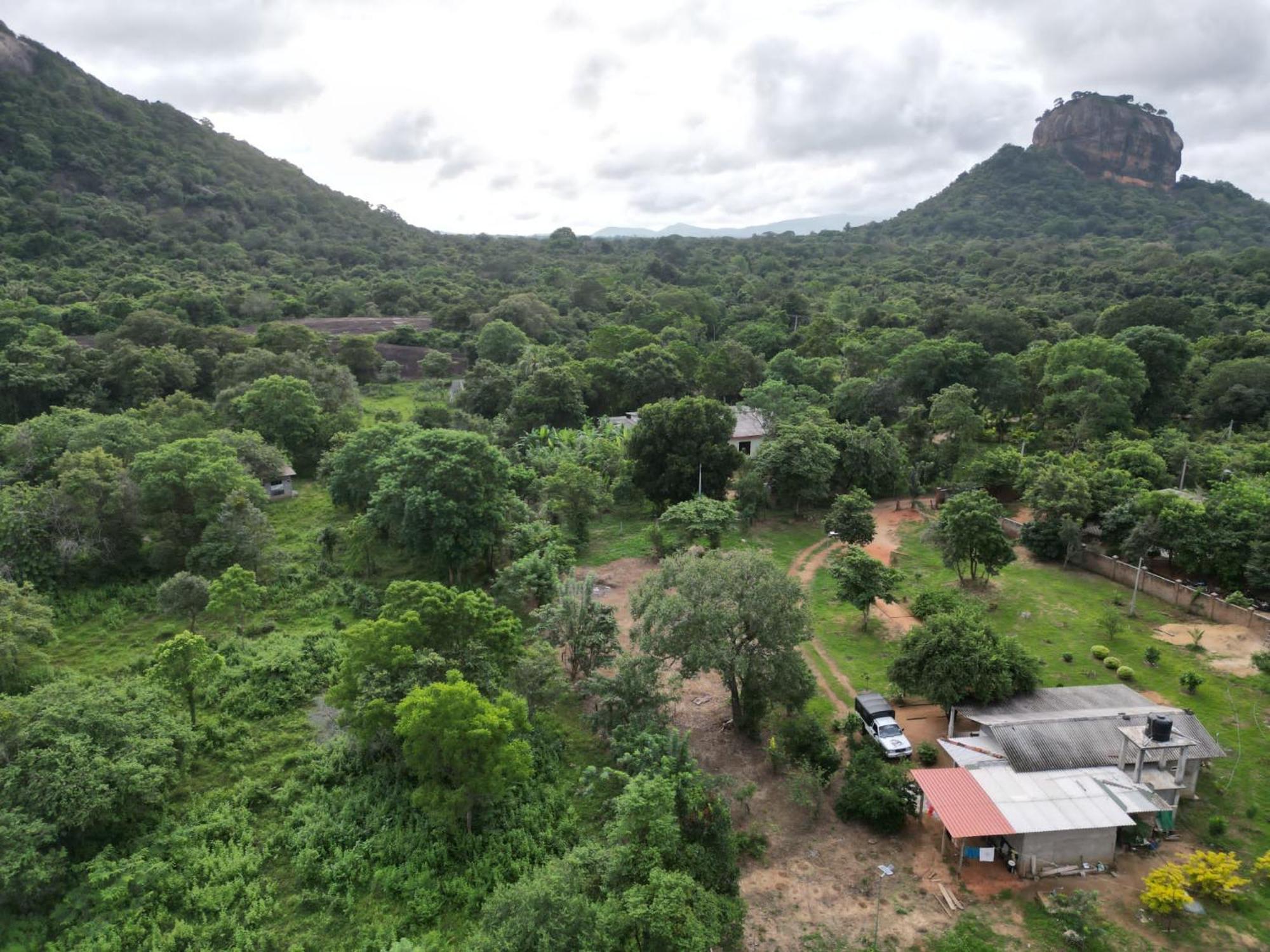 Sigiri Arana Sigiriya Hotel Eksteriør billede