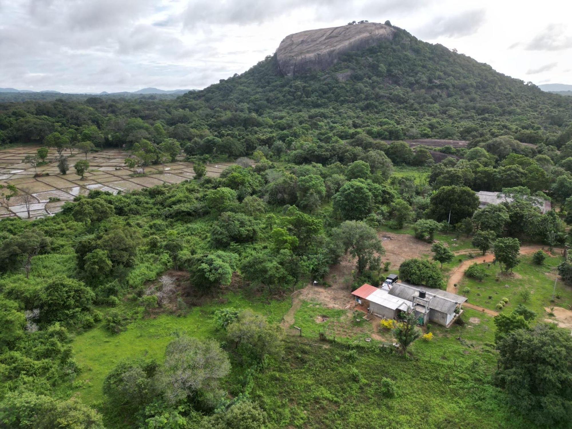 Sigiri Arana Sigiriya Hotel Eksteriør billede